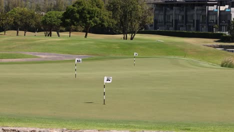 golf flags and greens under clear skies