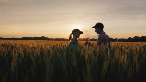 Dos-Jóvenes-Agricultores-De-Pie-En-Un-Campo-De-Trigo-Usan-Una-Tableta