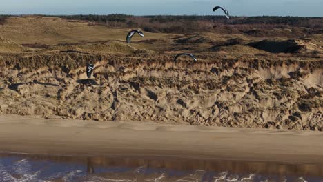 Toma-Aérea-épica-De-4-Parapentes-Holandeses-Volando-A-Lo-Largo-De-Dunas,-Castricum