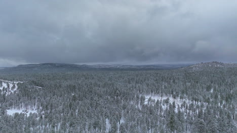 Drone-shot-of-snowy-evergreen-forest