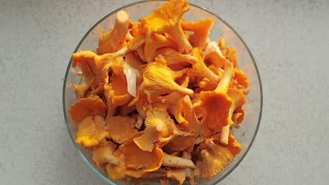 top down view of washed chanterelles in glass bowl lit by soft sunset light