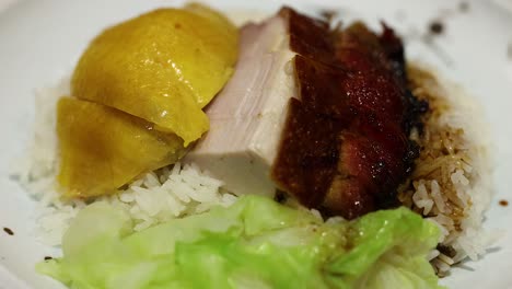 plate with rice, duck, chicken, and cabbage