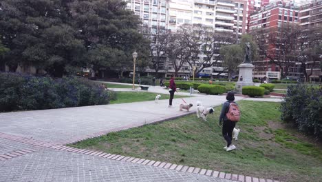 people walk their dogs at libertad urban park, green space of buenos aires city in recoleta neighborhood