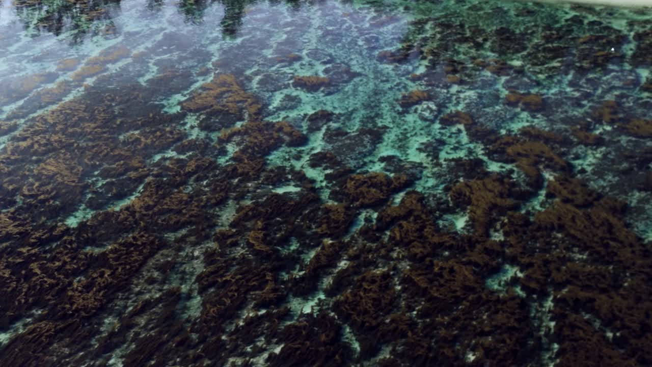 Aerial view over crystal-clear shallow waters at St. Felix Beach, Mauritius, revealing vivid coral formations and marine vegetation beneath the surface, and the beach area.