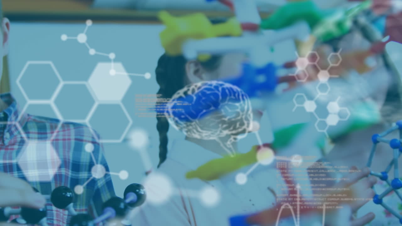 모델과 함께 코카시안 학교 어린이에 대한 데이터 처리의 애니메이션