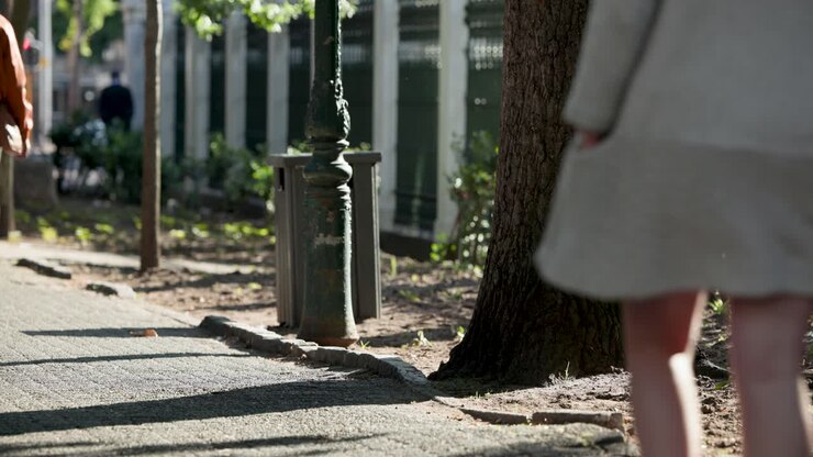 Tree trunk is staying right while people are entering from left passing fountain to reach park