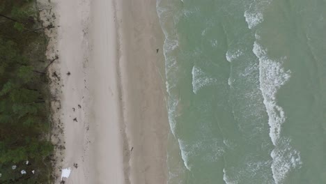 Vista-Aérea-De-Pájaro-De-La-Costa-Del-Mar-Báltico-En-Un-Día-De-Invierno-Nublado,-Playa-Con-Arena-Blanca,-Erosión-Costera,-Cambios-Climáticos,-Amplia-Toma-De-Drones-Avanzando