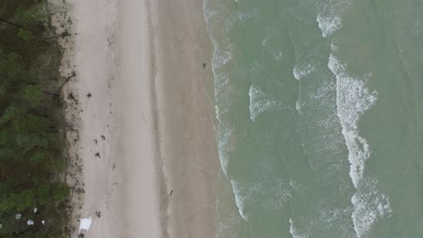 aerial birdseye view of baltic sea coast on a overcast winter day, beach with white sand, coastal erosion, climate changes, wide drone shot moving forward