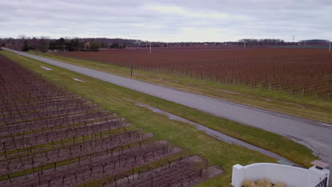 aerial over a wine country vineyard in late winter