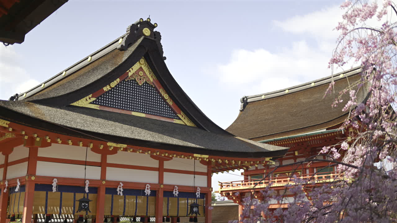 Pink cherry blossoms surrounding an ancient stone lantern at Fushimi Inari historic shrine. The scene captures the beauty of spring, showcasing culture and natural beauty. Kyoto, Japan