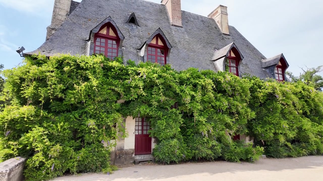 Elegante dependance ricoperta di edera vicino al Castello di Chenonceau, caratterizzata da una fitta vegetazione estiva, architettura storica francese e splendide finestre a abbaino sotto un tetto in ardesia.