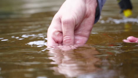 Primer-Plano,-Hermosa-Trucha-Marrón-Se-Libera-En-El-Agua-Fría-Del-Río