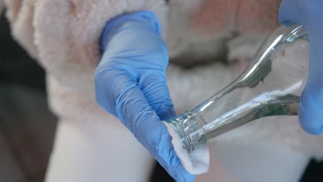 close-up preparing sterile cotton while prepping to draw blood at a medical clinic