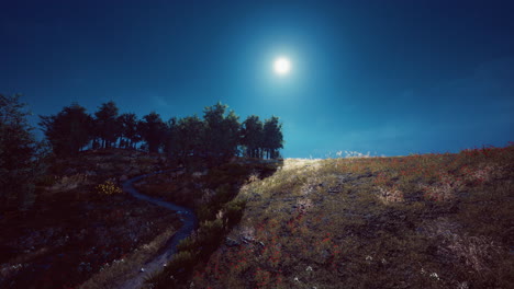 camino iluminado por la luna a través de un bosque de laderas de flores