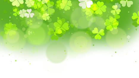 irish shamrock falling leaves on white background. green symbol good luck. loop clover pattern for saint patrick's day holiday motion graphic.