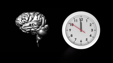 human brain and clock