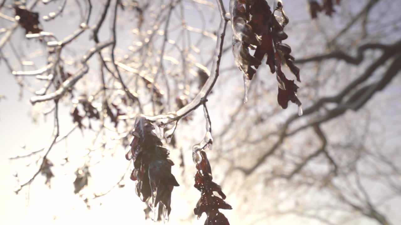 A cold January morning along with some winter precipitation and a bright sunrise make for some interesting details.