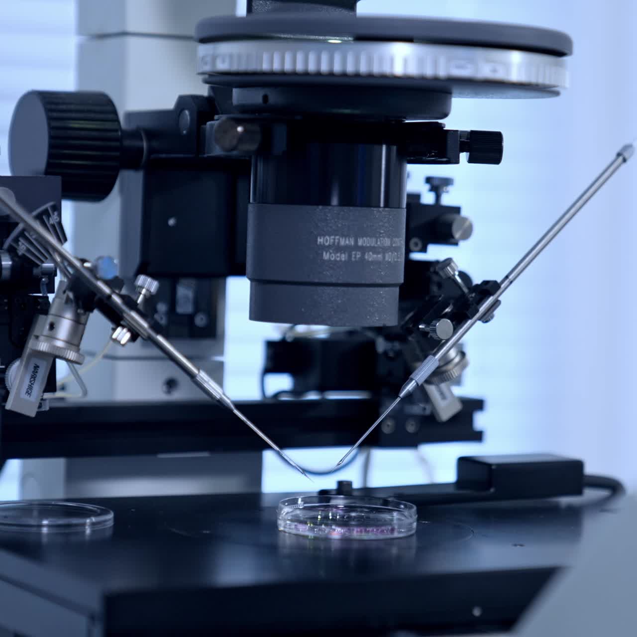 Powerful microscope in the laboratory for artificial fertilization. Petri dish standing under equipment. Close up