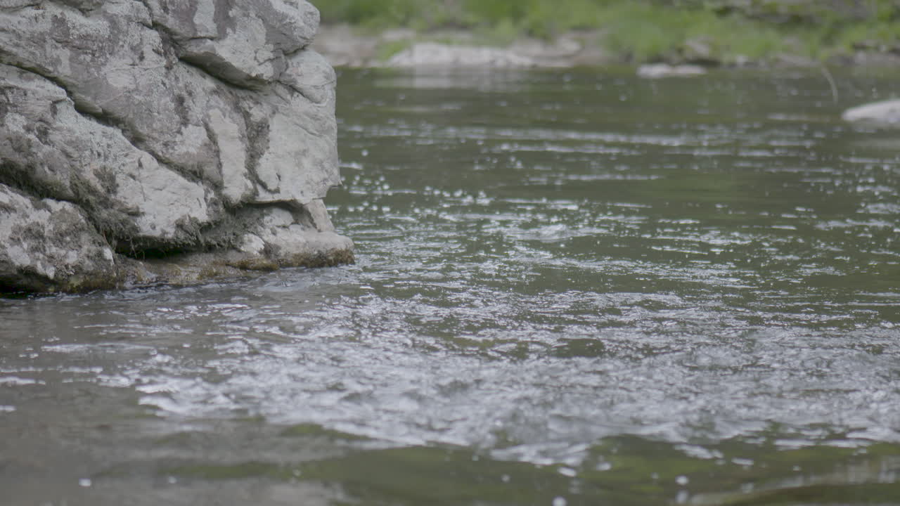 nc 산에서 바위 물에 흐르는 강