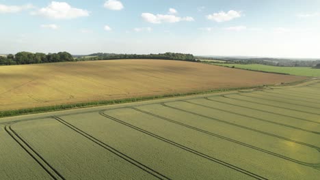 La-Plataforma-Rodante-Del-Dron-Al-Revés-Revela-Un-Misterioso-Diseño-De-Círculo-De-Cultivos-En-Un-Campo-Agrícola-Verde