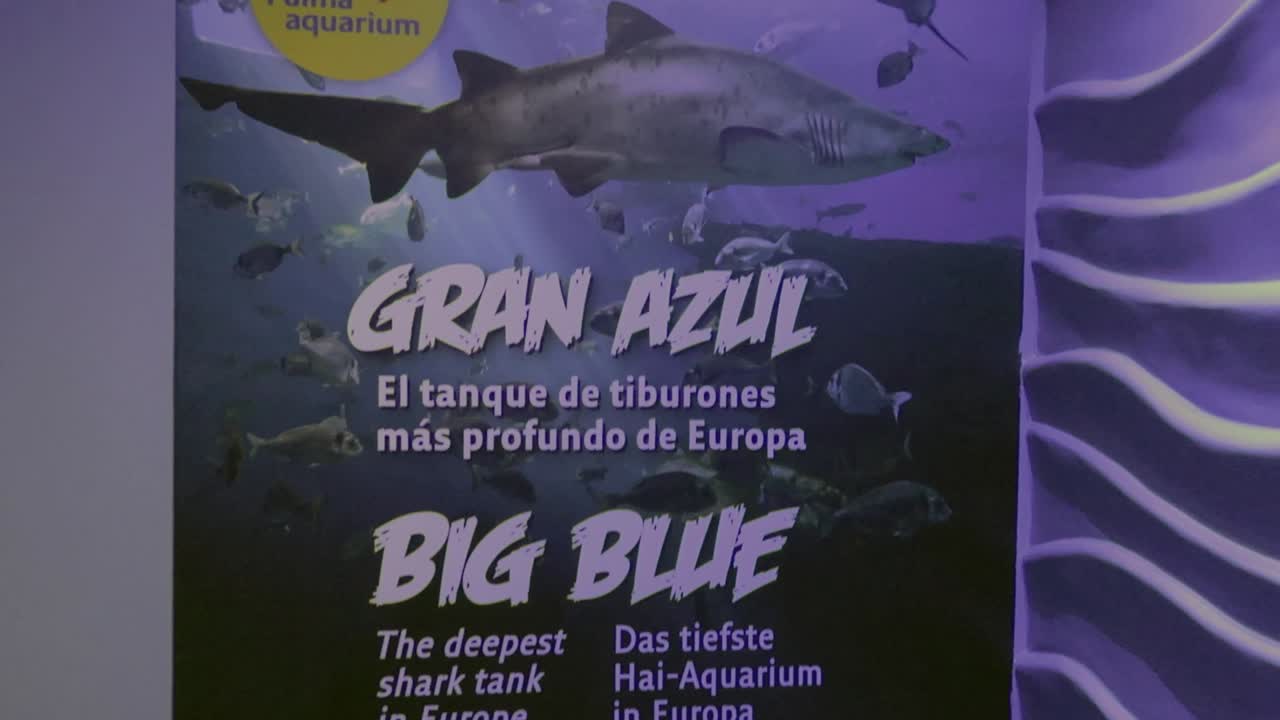 팔마 수족관 마요르카 스페인 입구 보드의 전망