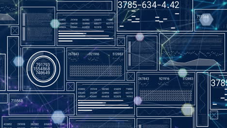 animación de la red de conexiones a través del procesamiento de datos