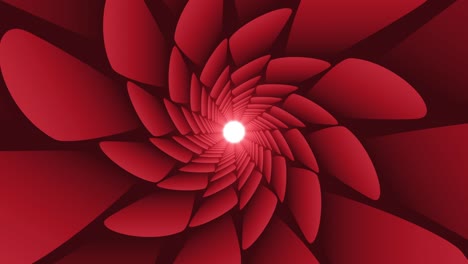 forma de fondo animada abstracta de pétalos redondos de flores