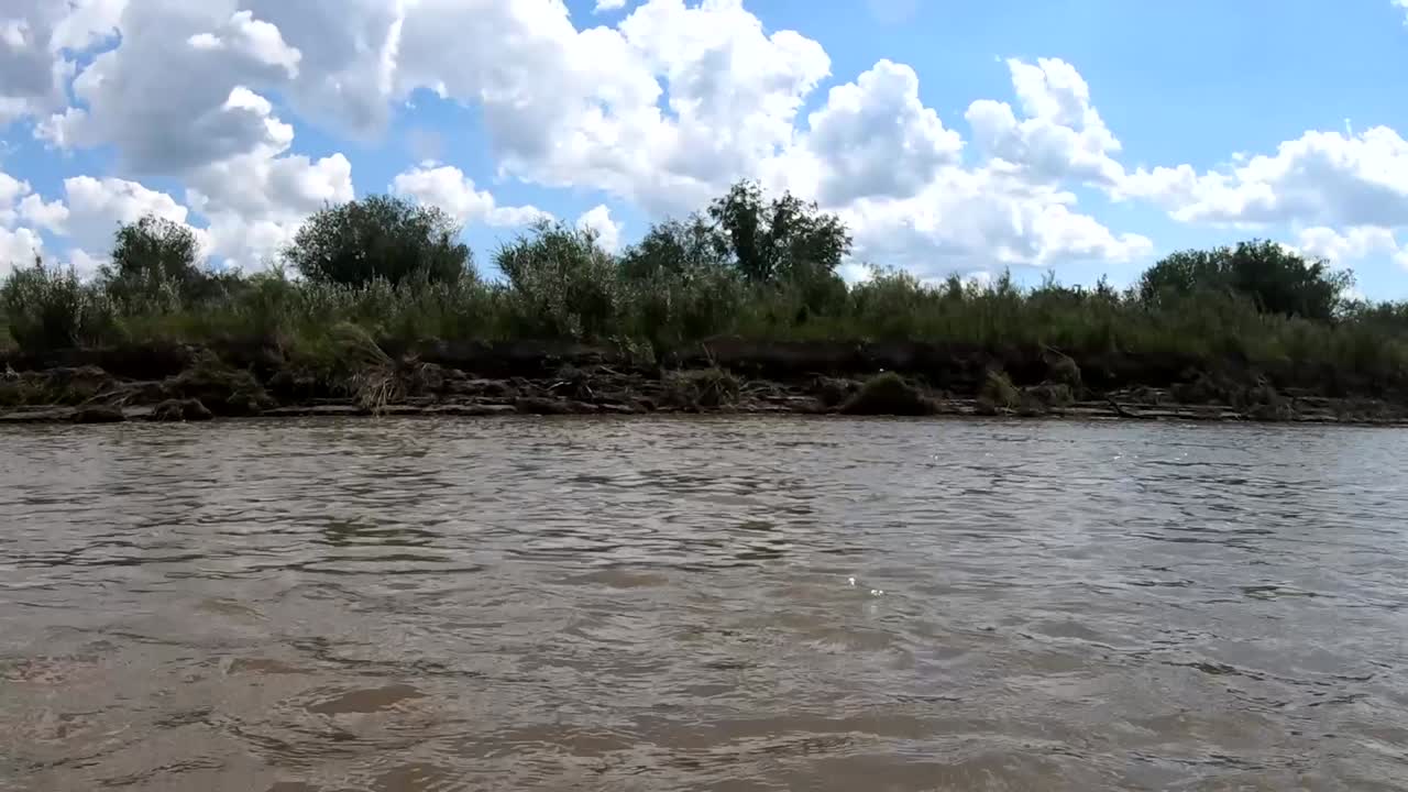 vista desde el medio de un río en alberta canada en un día soleado