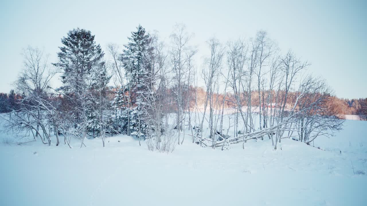 Snedækket landlig natur om vinteren. Statisk optagelse.