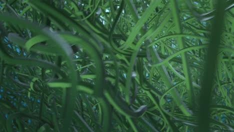vides abstractas verdes en azul