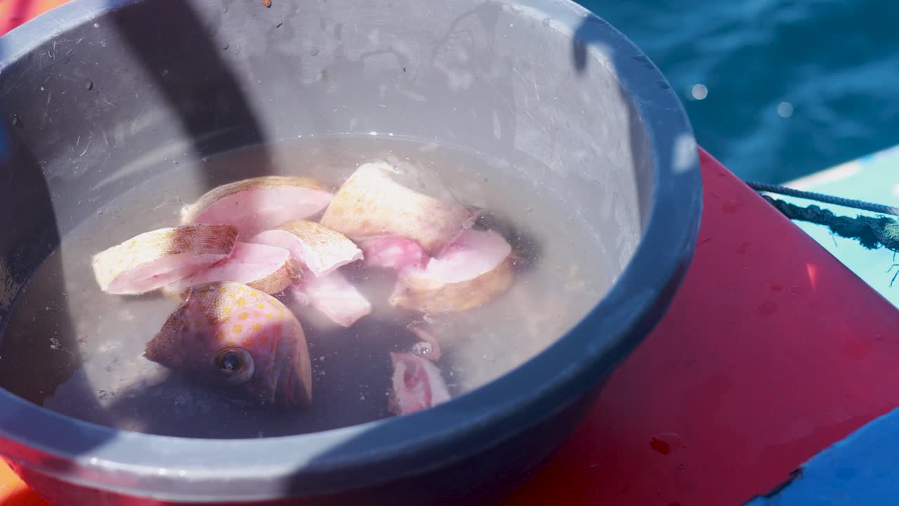 A bowl of fish and cut pieces on a boat in Phuket, Thailand, under bright sunlight with gentle camera movement