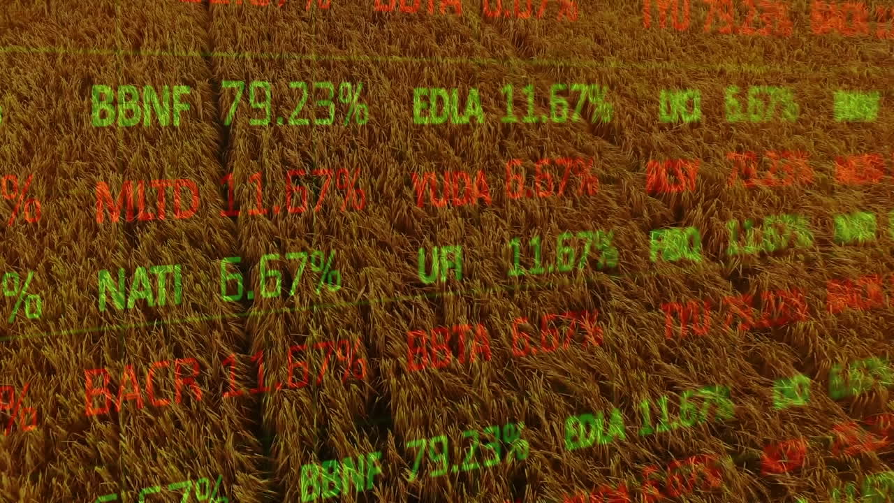 Animation der Finanzdatenverarbeitung über einem Agrarfeld