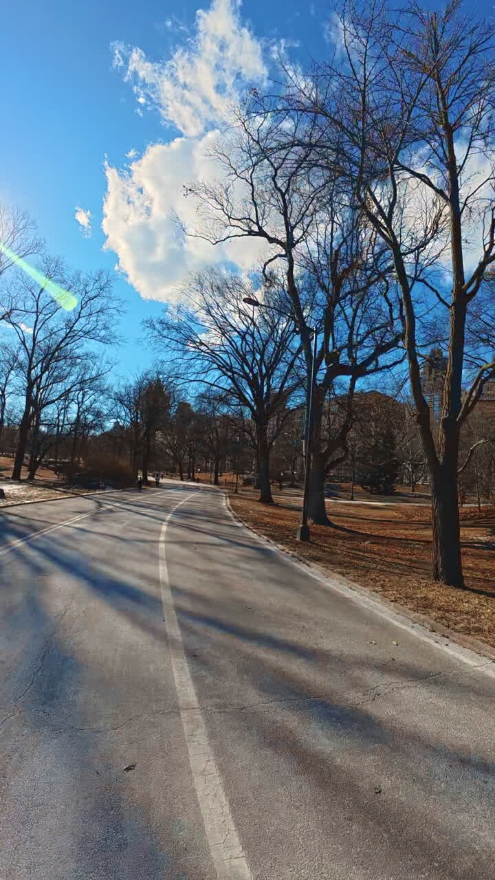Vista soleggiata di Central Park. Una giornata luminosa e soleggiata a Central Park con cielo terso, alberi spogli e un sentiero tranquillo, perfetto per passeggiare