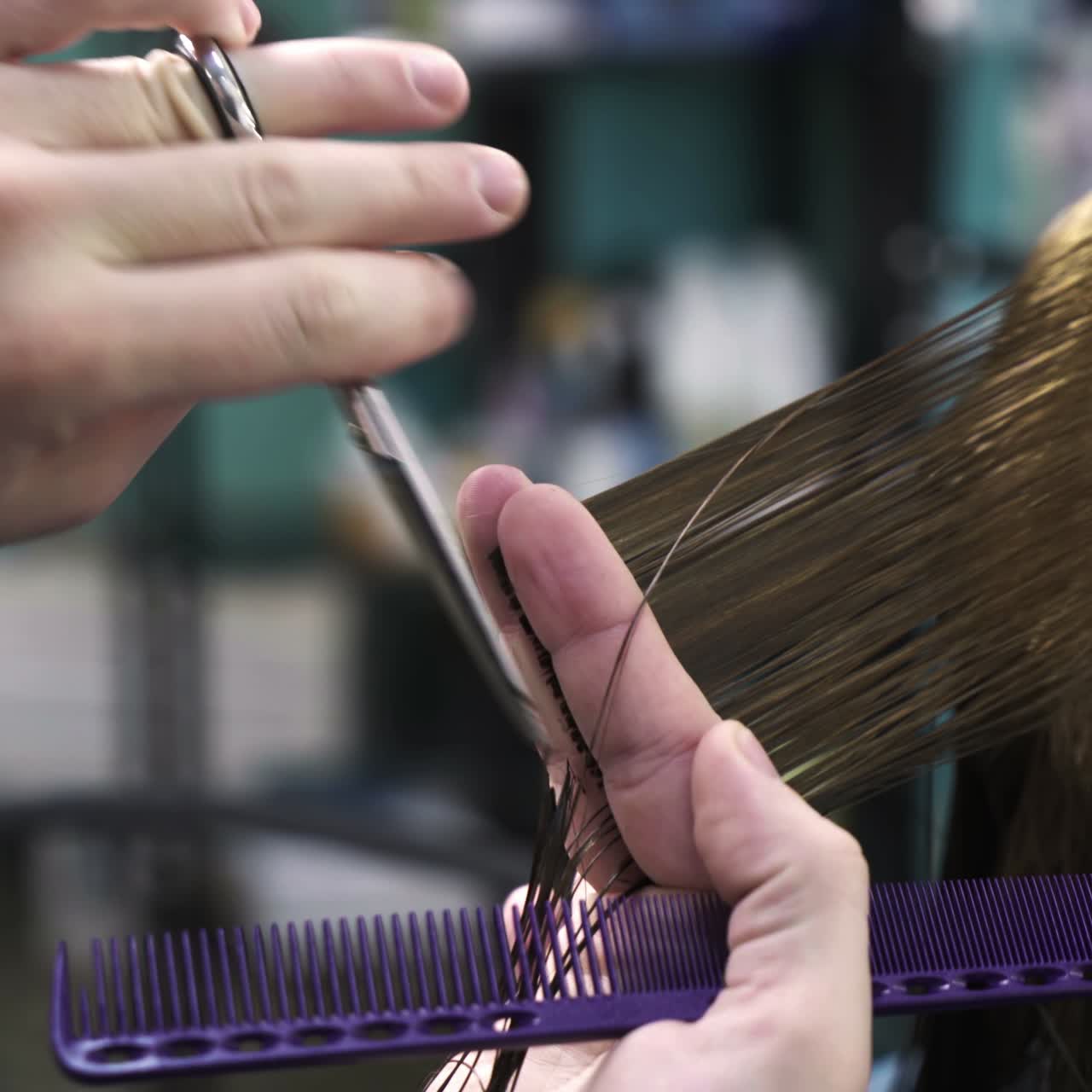 Professional hairdresser cutting hair