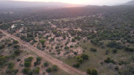 el camino de tierra cruza a través del paisaje remoto en la sabana africana