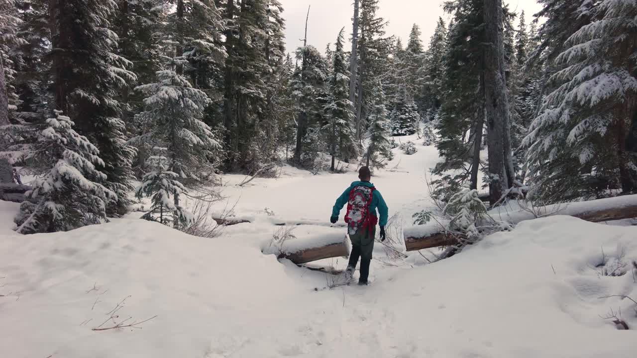 Caminhada de inverno na Ilha de Vancouver, Canadá