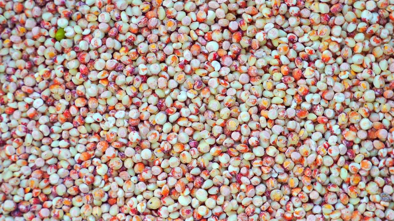 Rotating shot of red sorghum, top view, texture