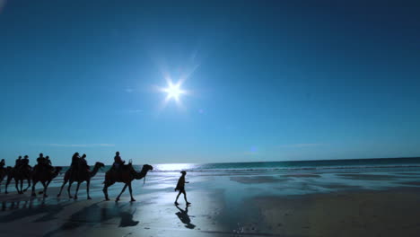 A-camel-train-crosses-Broome-Beach-in-Western-Australia-at-sunset