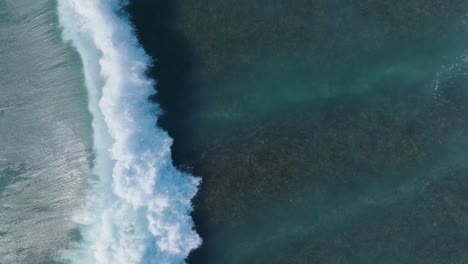 Von-Oben-Nach-Unten-Zeitlupen-Drohnenaufnahme-Der-Wellenbewegung-über-Dem-Korallenriff-In-Uluwatu,-Bali,-Indonesien