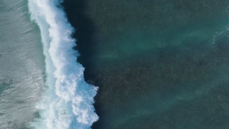 de arriba hacia abajo, una toma en cámara lenta de un avión no tripulado de la acción de las olas sobre el arrecife de coral en uluwatu bali, indonesia