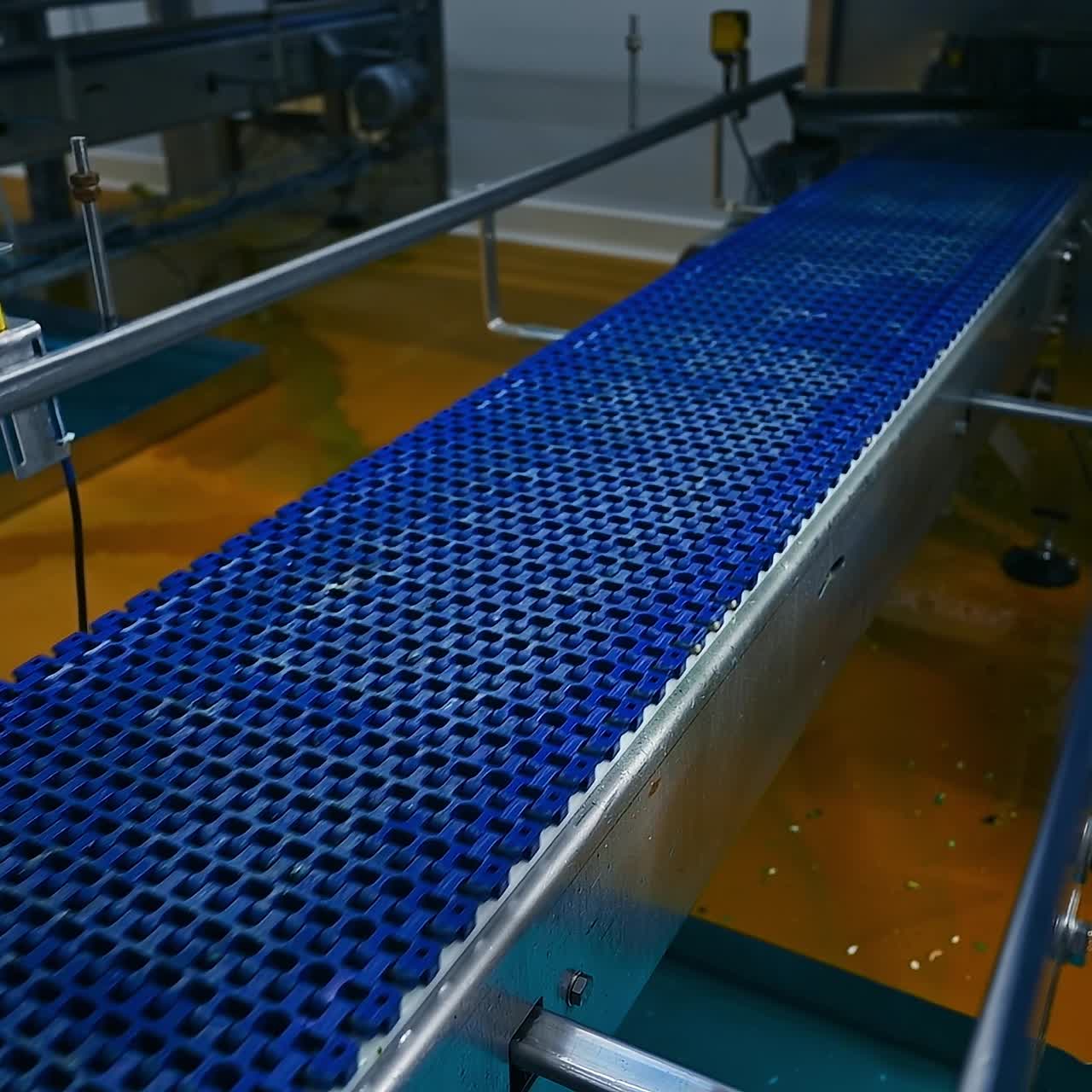 Industrial Egg Production Line. View of egg production line in action on the chicken farm