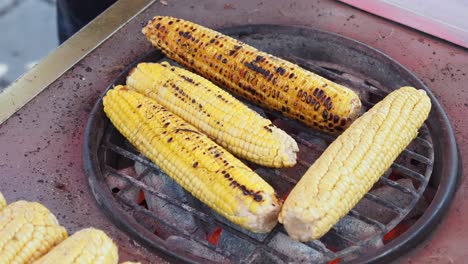 grilled corn on the cob