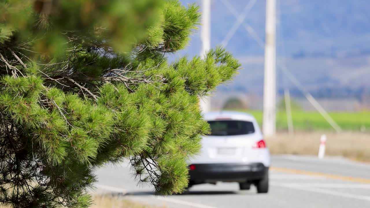 Cars and RVs drive past pine trees on a windy road, with a scenic backdrop and natural lighting