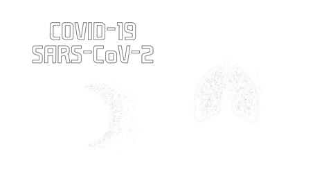covid_19_cell_lungs_silhouette_alpha_loop_4k