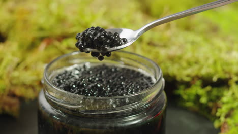 black caviar in a glass jar with spoon