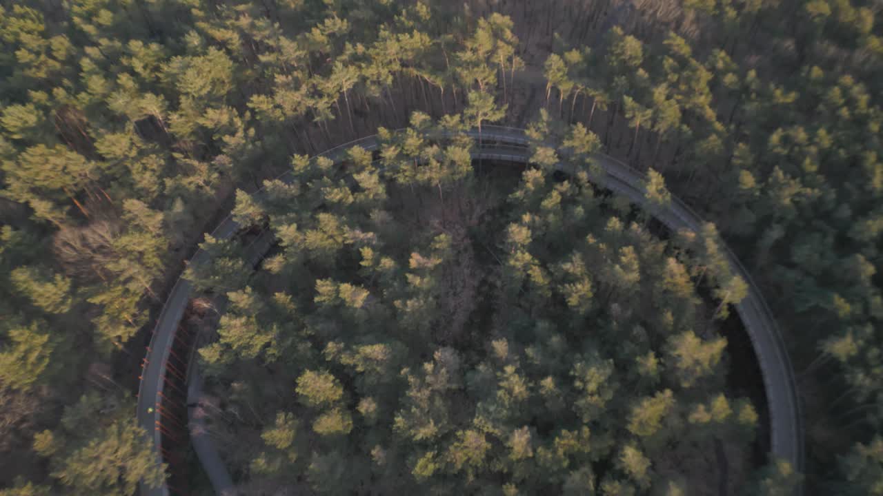 sendero de paseo redondo en zona boscosa, vista aérea