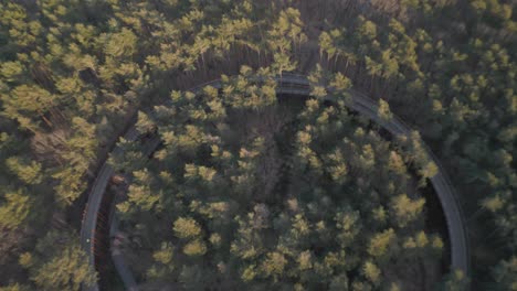 Round-walkway-path-in-woodland-area,-aerial-view