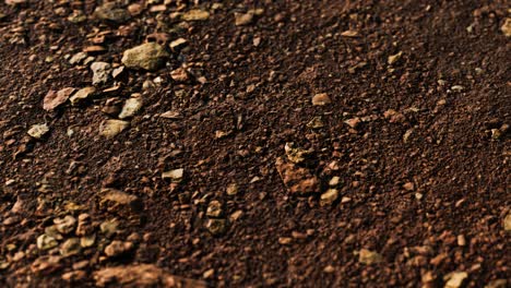 closeup-of-dirty-ground-road