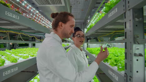 two scientists a man and a woman in white coats put plant samples in a test tube in order to find out the results of the tests