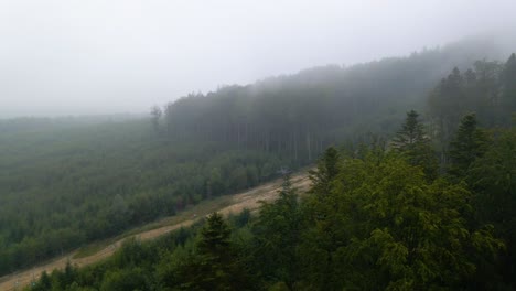 Aerial-view-over-foggy-forest-and-a-road,-on-a-mysterious,-moody-day,-in-the-Carphatian-mountains,-Ukraine---rising,-drone-shot